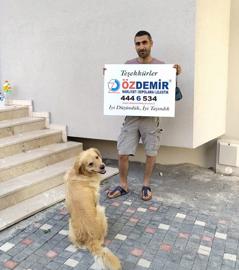 Ofis Taşımacılığı